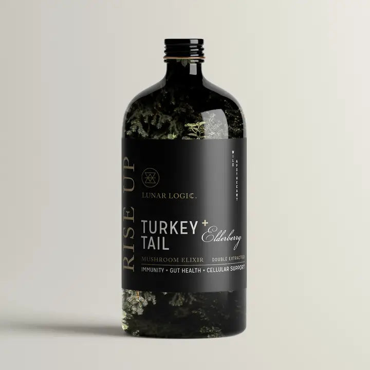 Rise Up/ Turkey Tail + Elderberry Mushroom Elixir 4oz