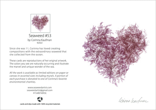 Seaweed #53