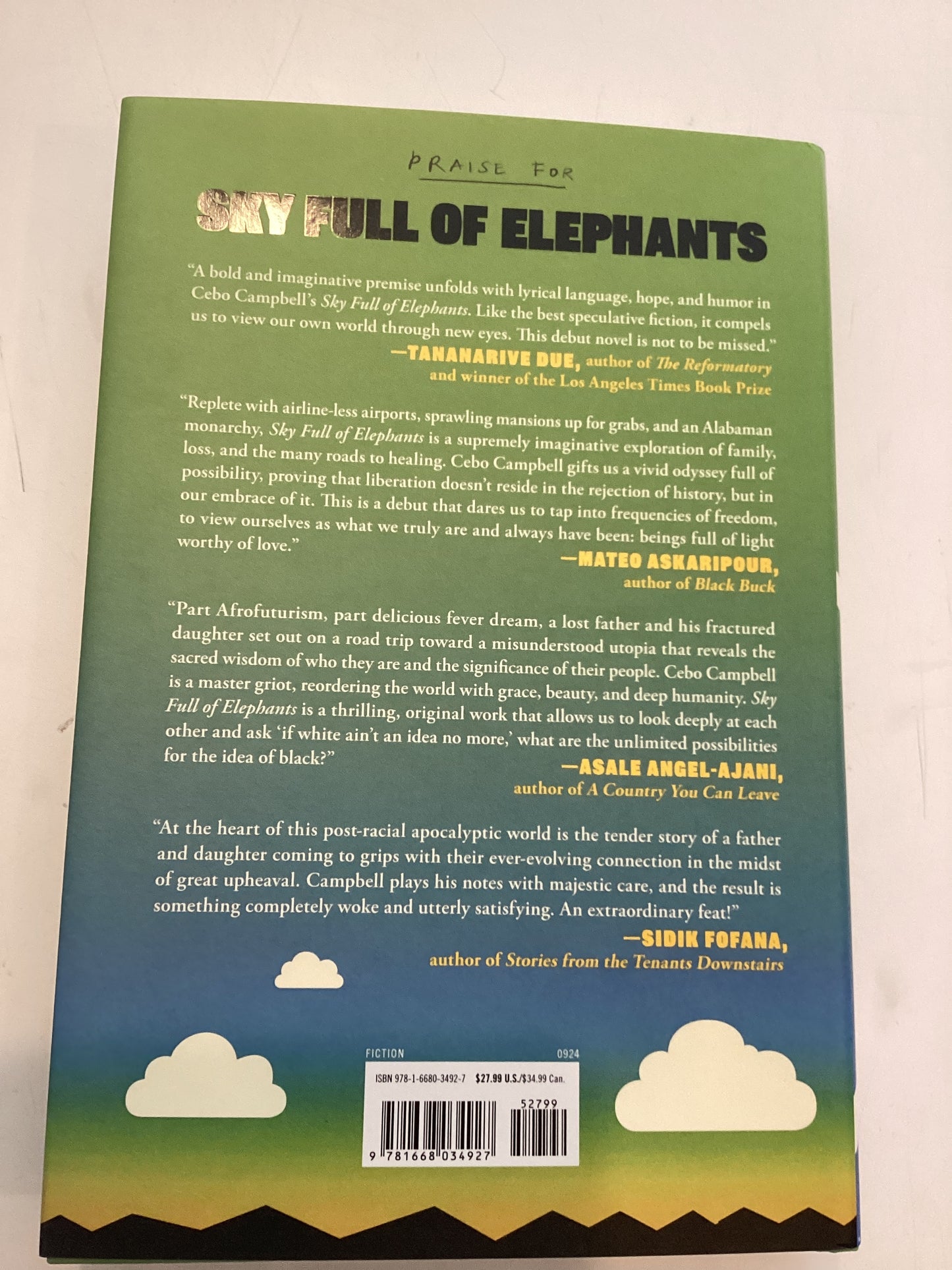 Sky Full of Elephants Book by Cebo Campbell