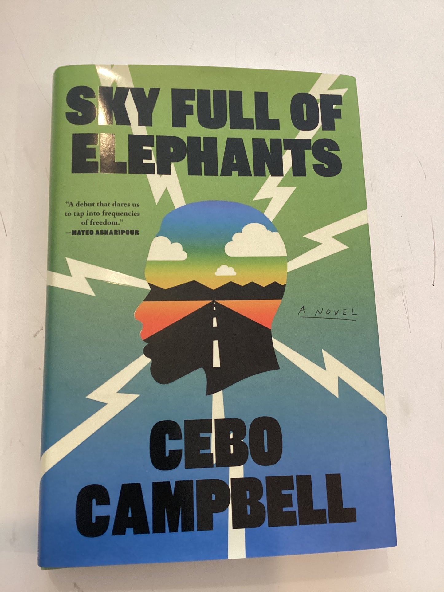 Sky Full of Elephants Book by Cebo Campbell