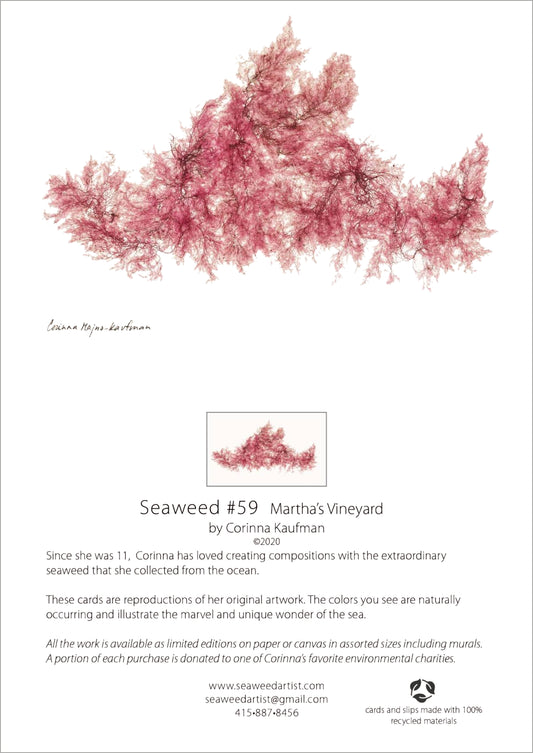 Seaweed Card #59