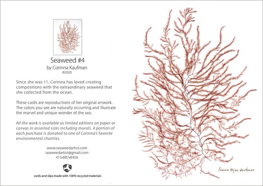 Seaweed Card #4